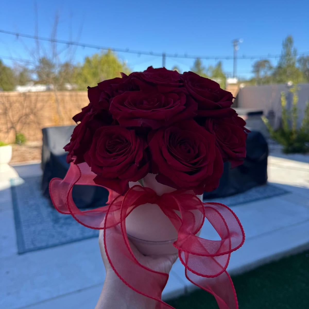 Red rose Valentine’s Day arrangement in a round box with a sheer red ribbon.